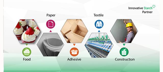 Company Banner
