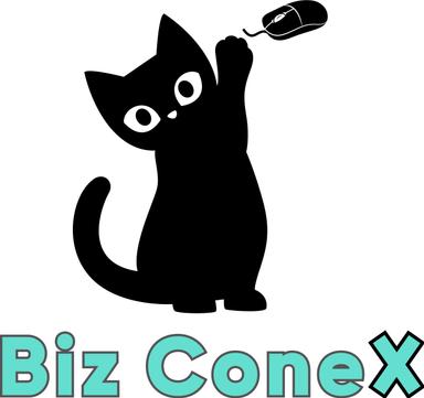 Full Stack Developer